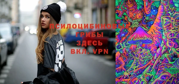 МДПВ Горнозаводск