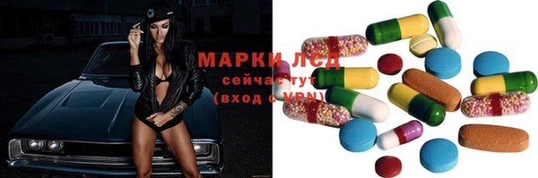 спиды Горняк