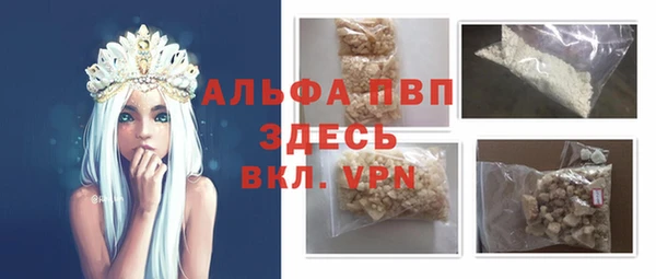 спиды Горняк