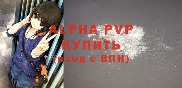спиды Горняк