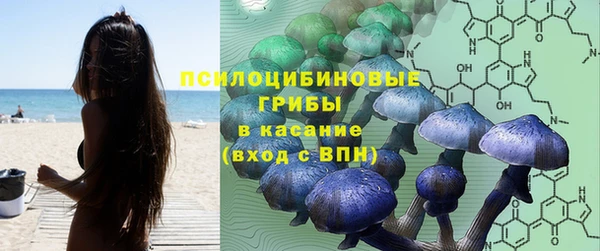 трава Горно-Алтайск