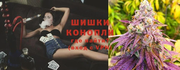 спиды Горняк