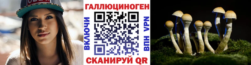 наркота  Стерлитамак  Галлюциногенные грибы Psilocybine cubensis 
